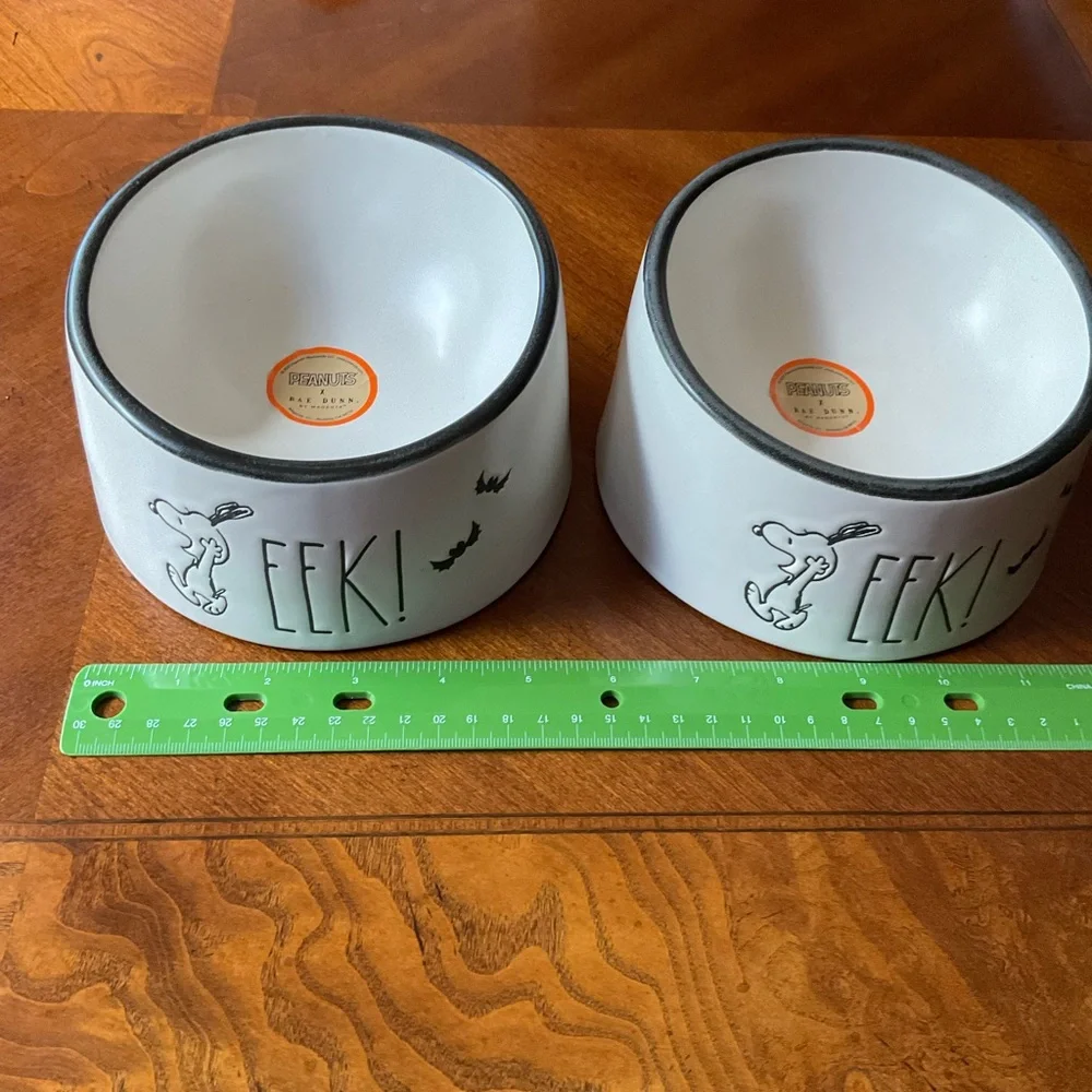 NWT SNOOPY “EEK” Rae Dunn x Peanuts Halloween Dog Dish, Raised, small